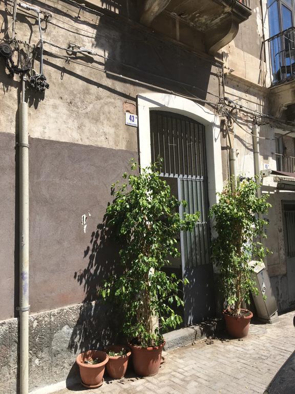 Casa Vacanza Civita Catania Centro Exterior photo